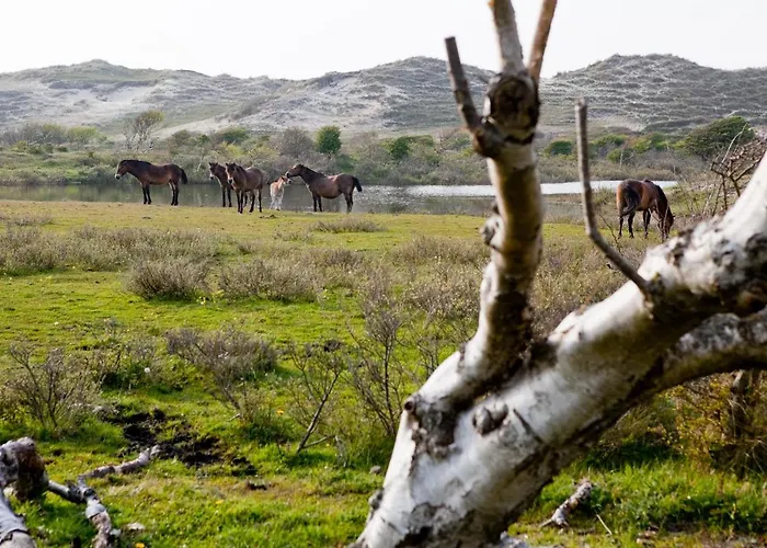 ベッド・アンド・ブレックファスト Peperzzz ベルゲン